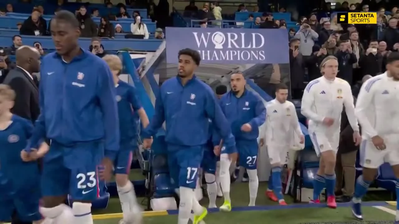 zaslepka skrotu video