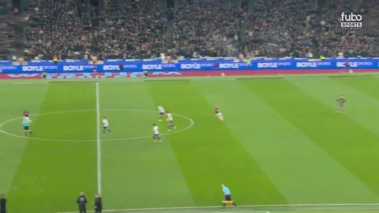 zaslepka skrotu video