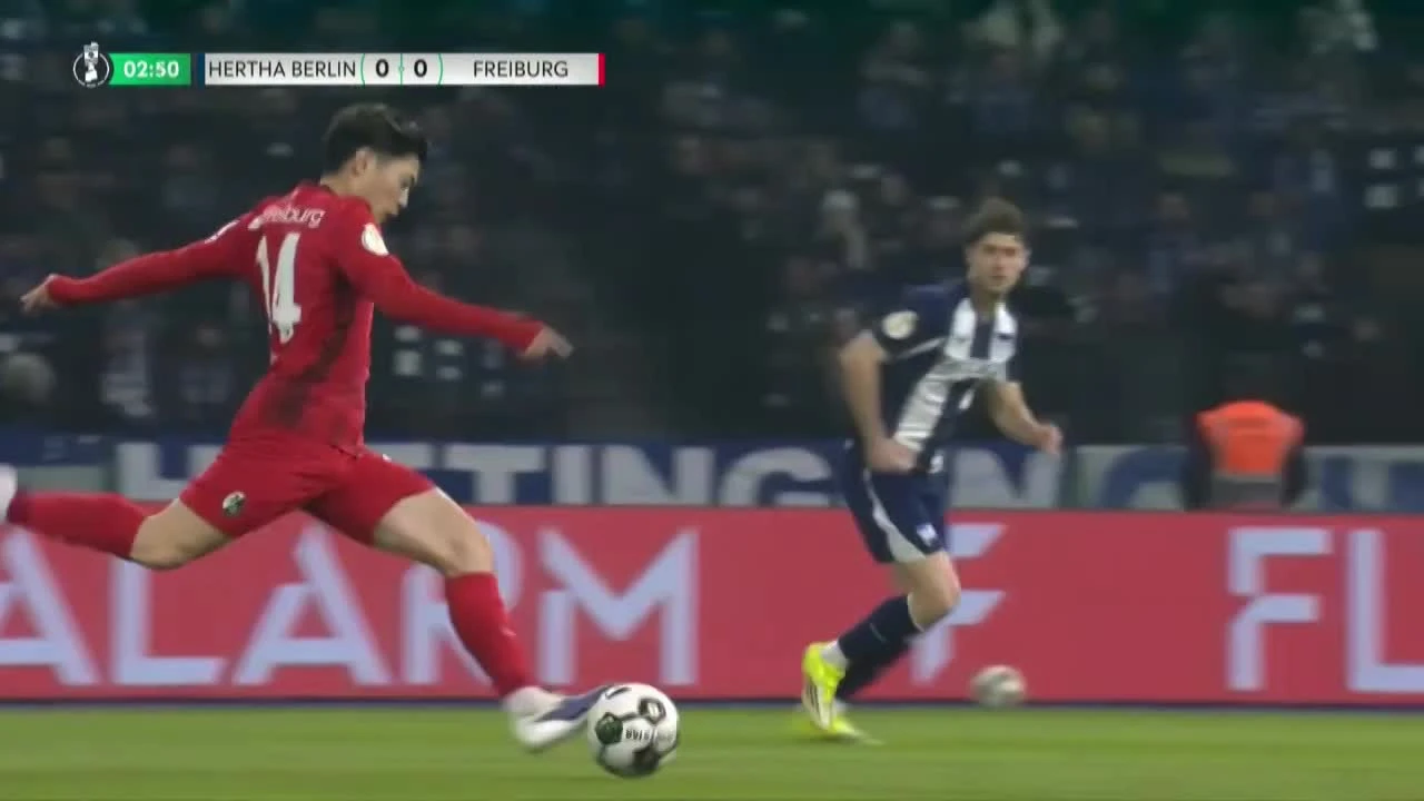 zaslepka skrotu video