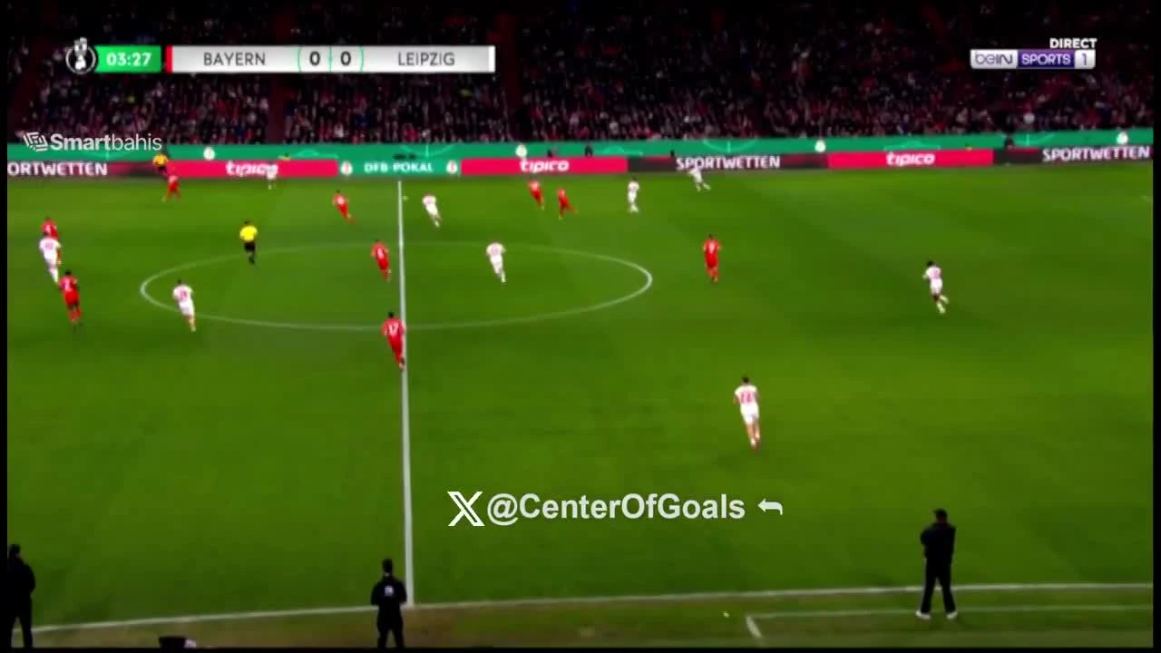 zaslepka skrotu video