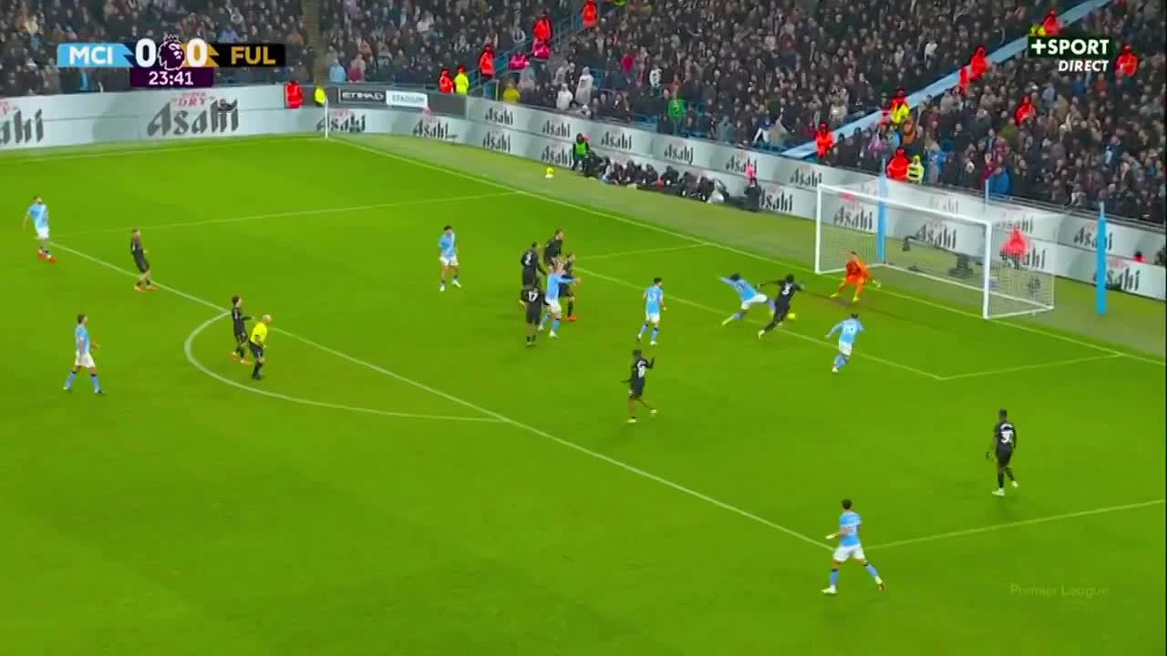 zaslepka skrotu video