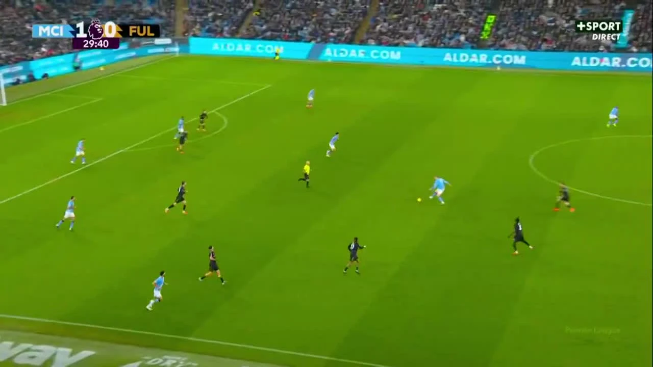 zaslepka skrotu video