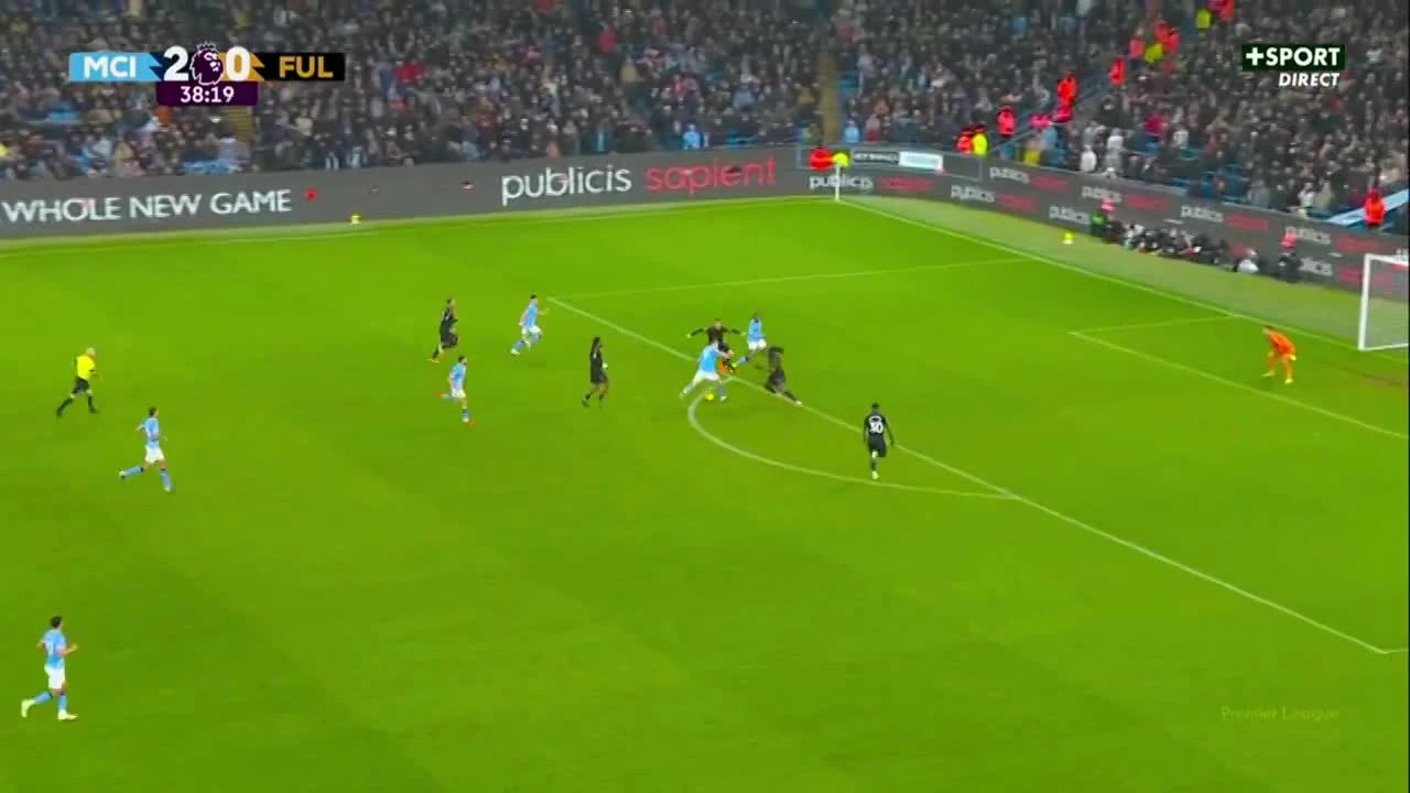 zaslepka skrotu video