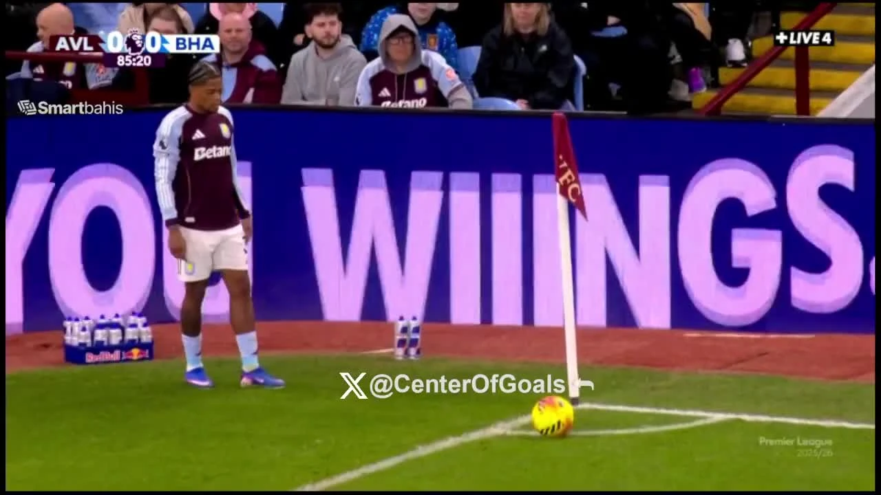 zaslepka skrotu video