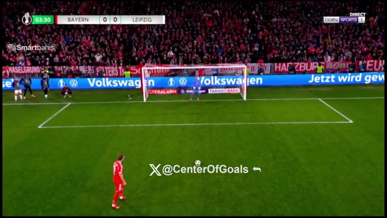 zaslepka skrotu video