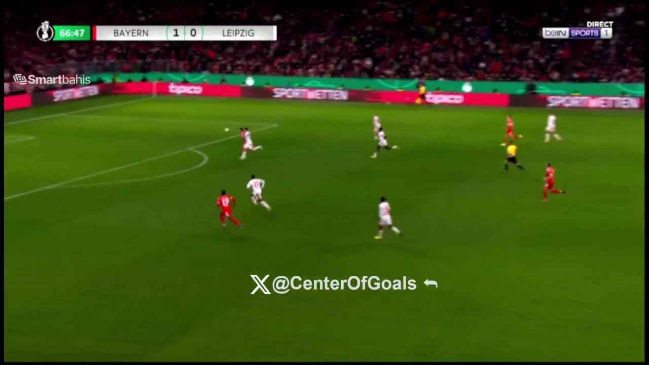 zaslepka skrotu video