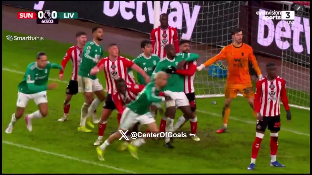 zaslepka skrotu video