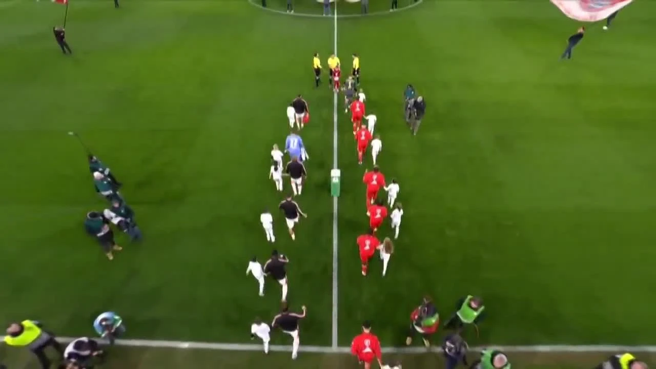 zaslepka skrotu video