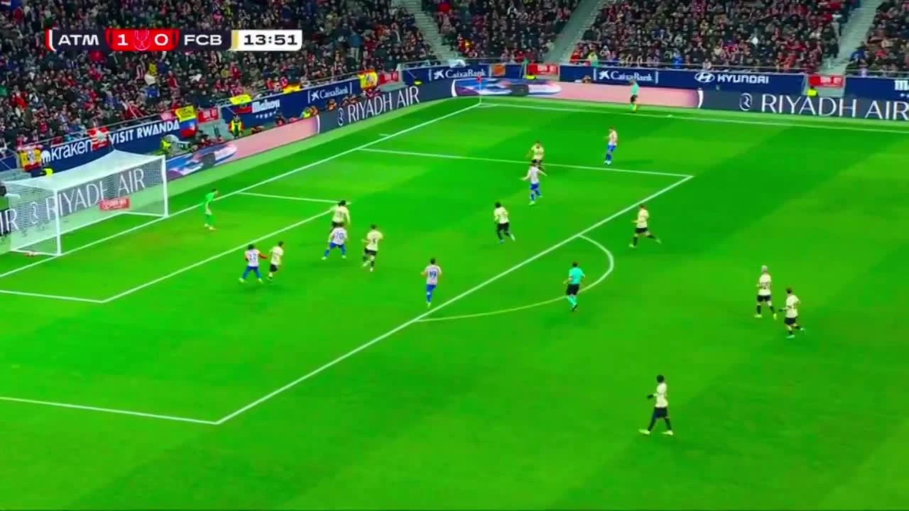 zaslepka skrotu video