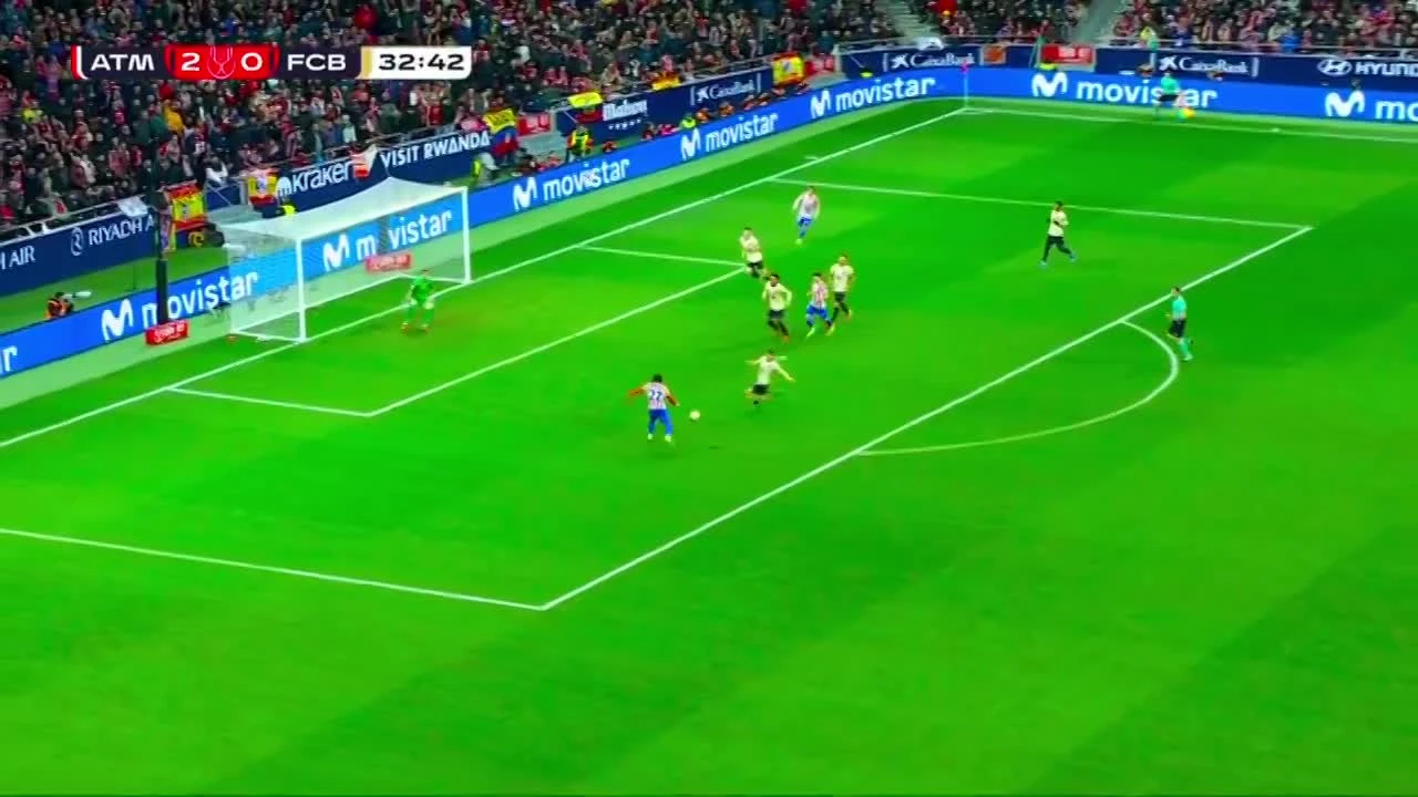 zaslepka skrotu video