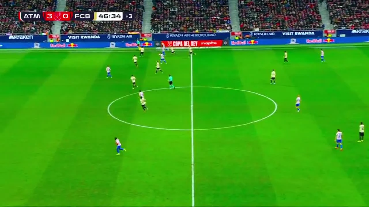 zaslepka skrotu video