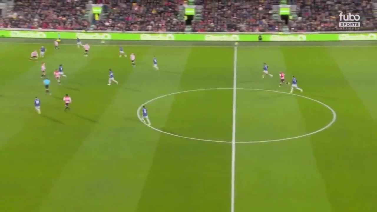 zaslepka skrotu video