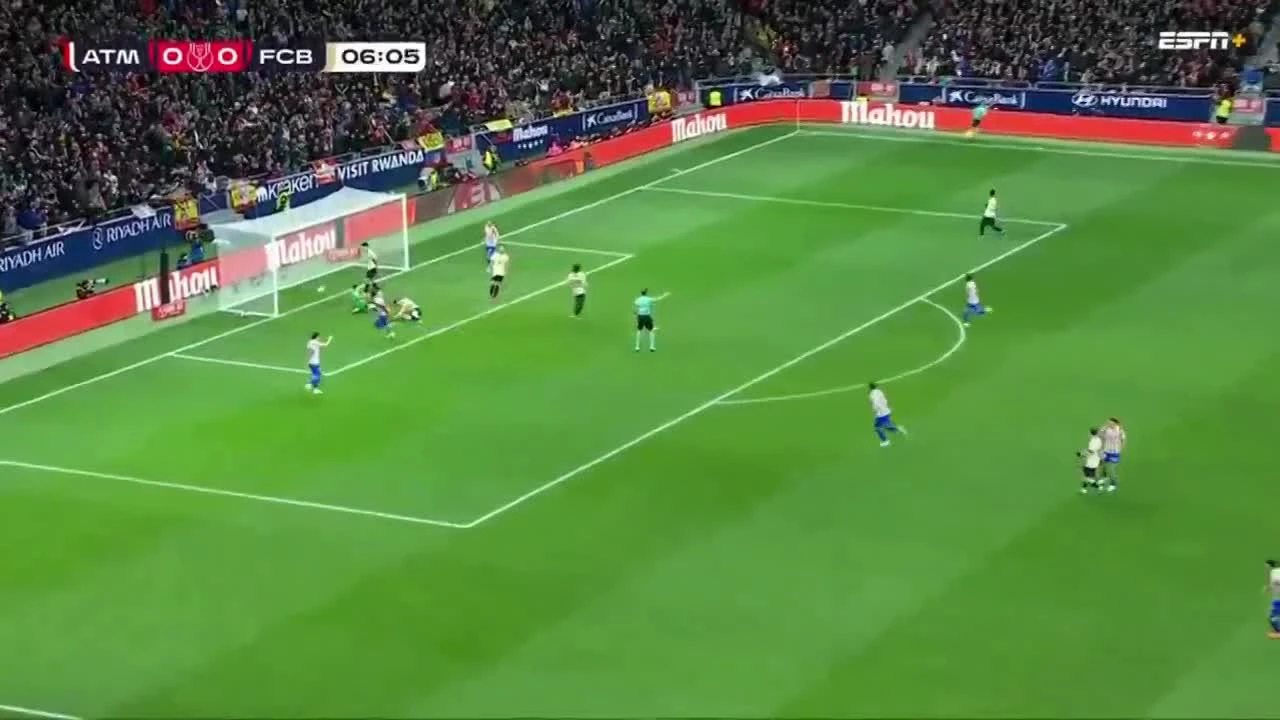 zaslepka skrotu video