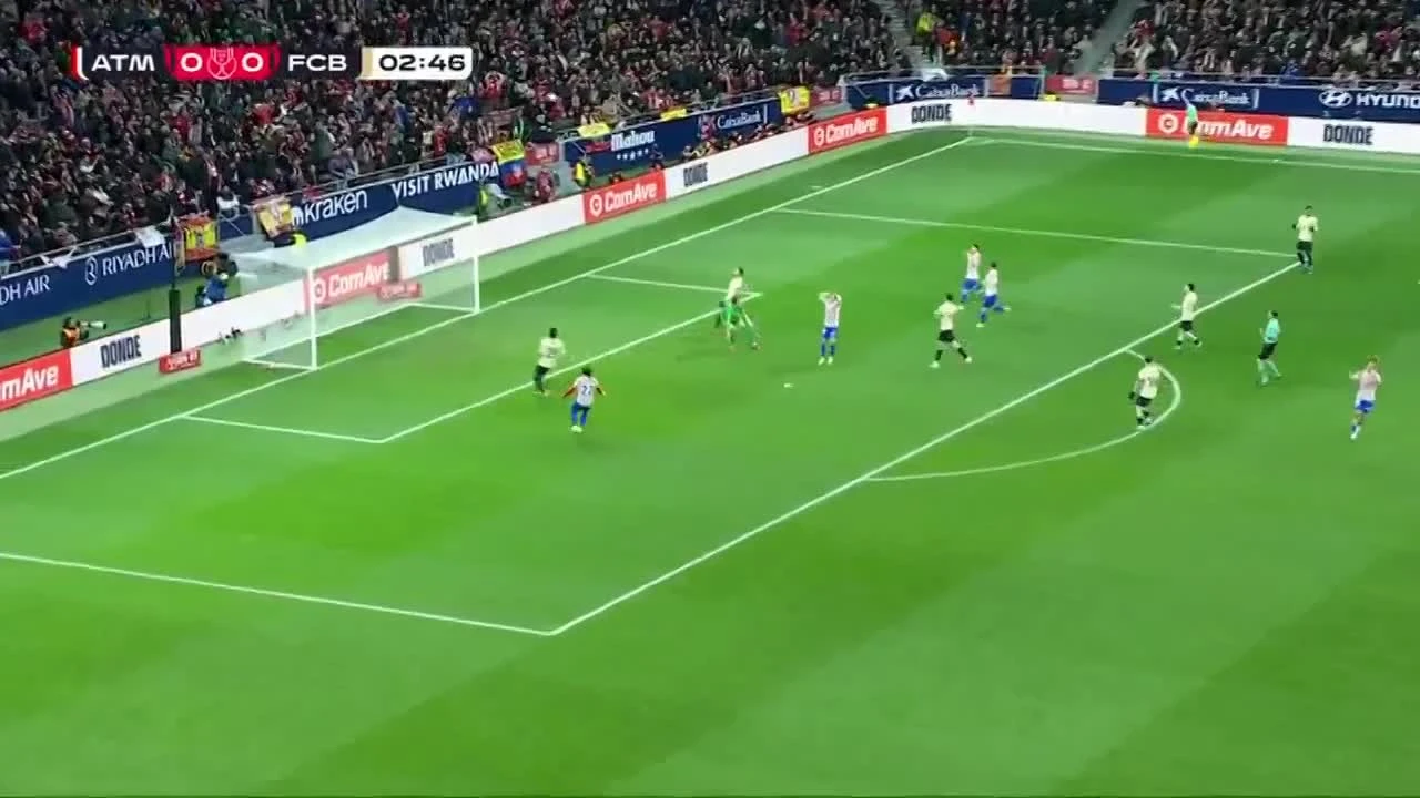 zaslepka skrotu video