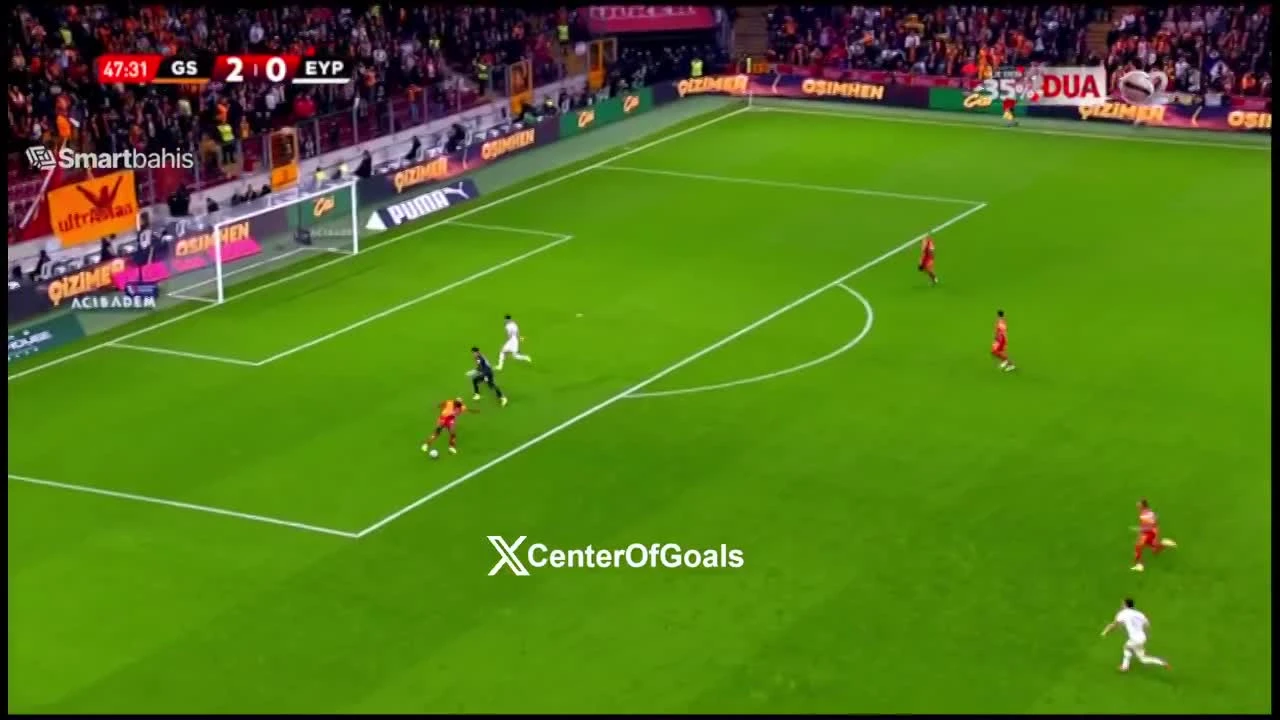 zaslepka skrotu video