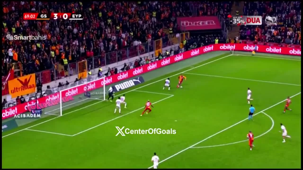 zaslepka skrotu video