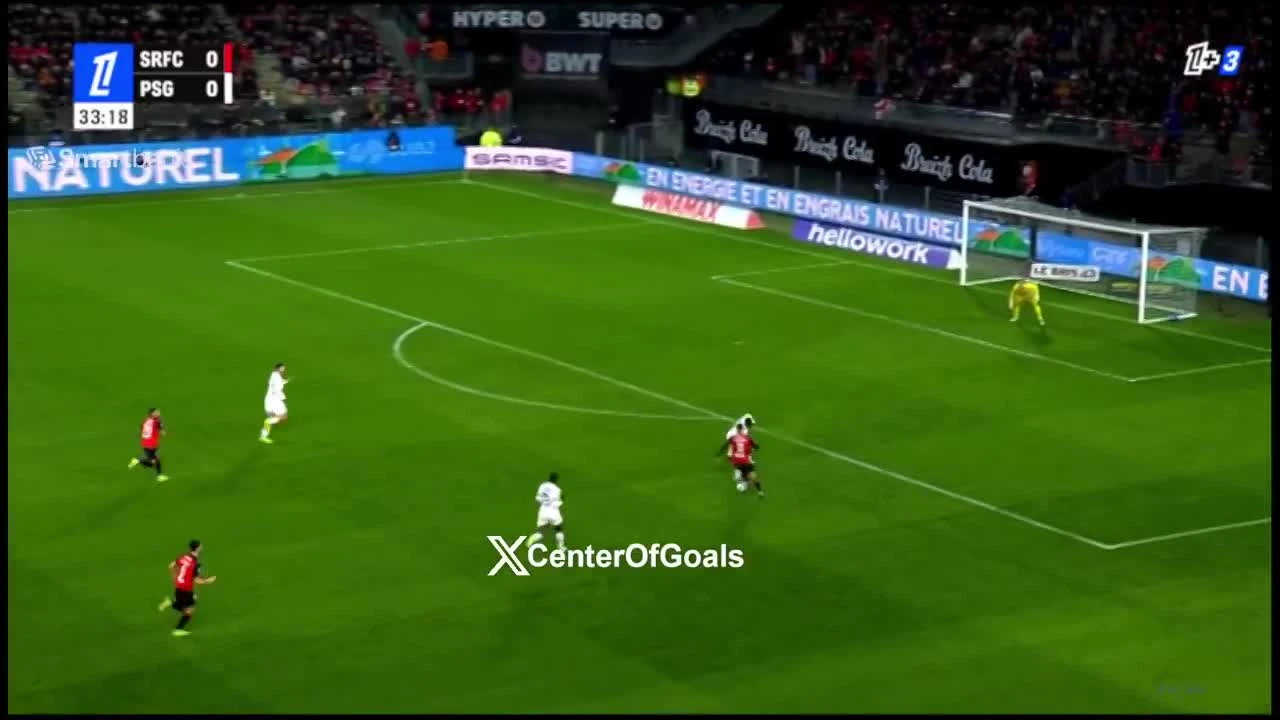 zaslepka skrotu video