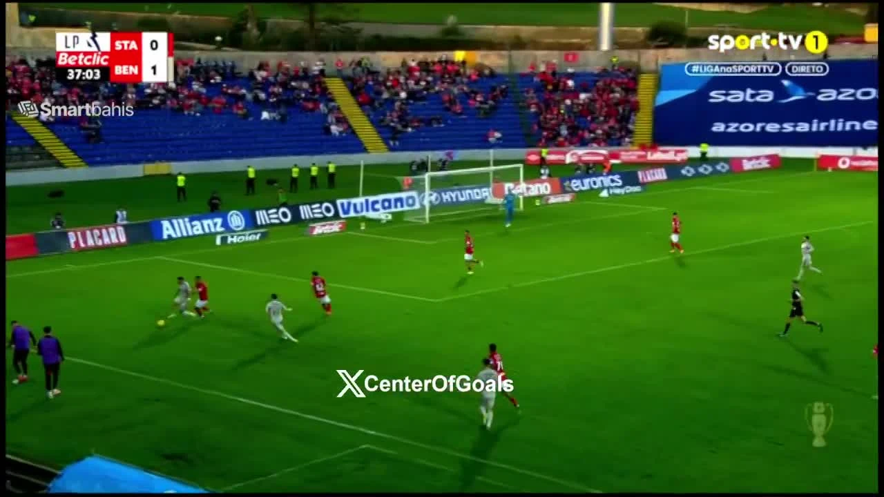 zaslepka skrotu video