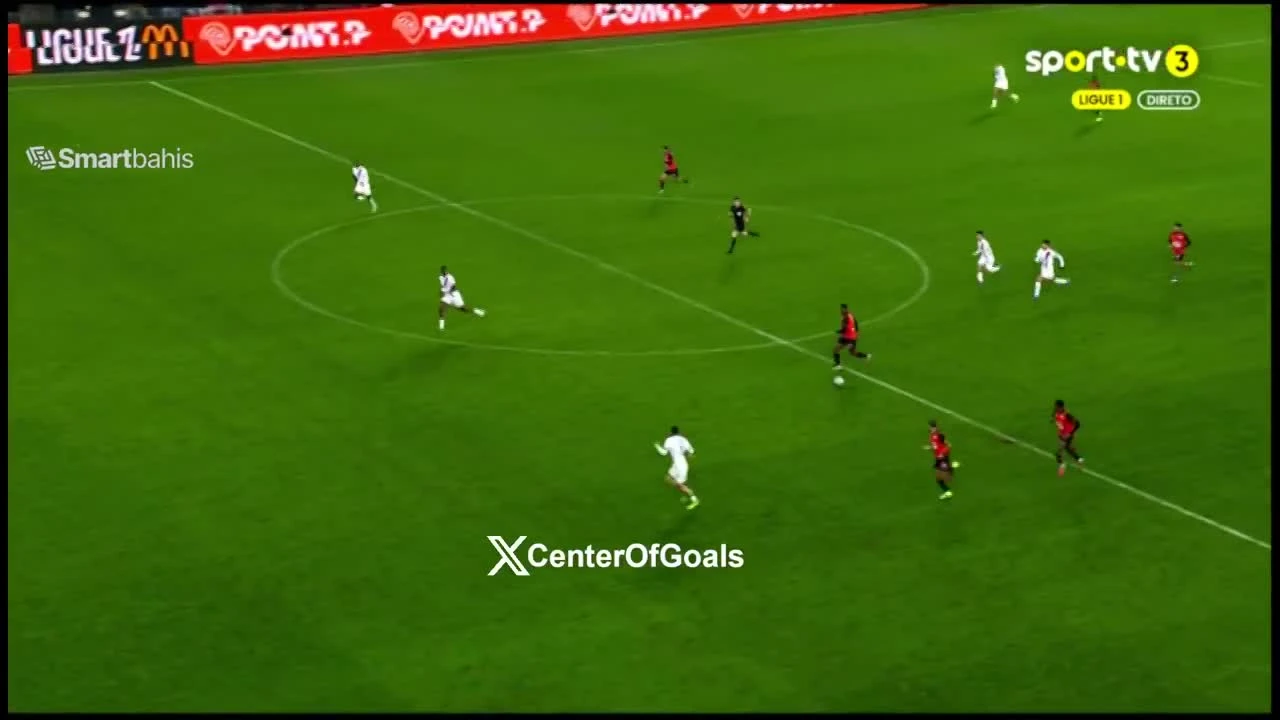 zaslepka skrotu video