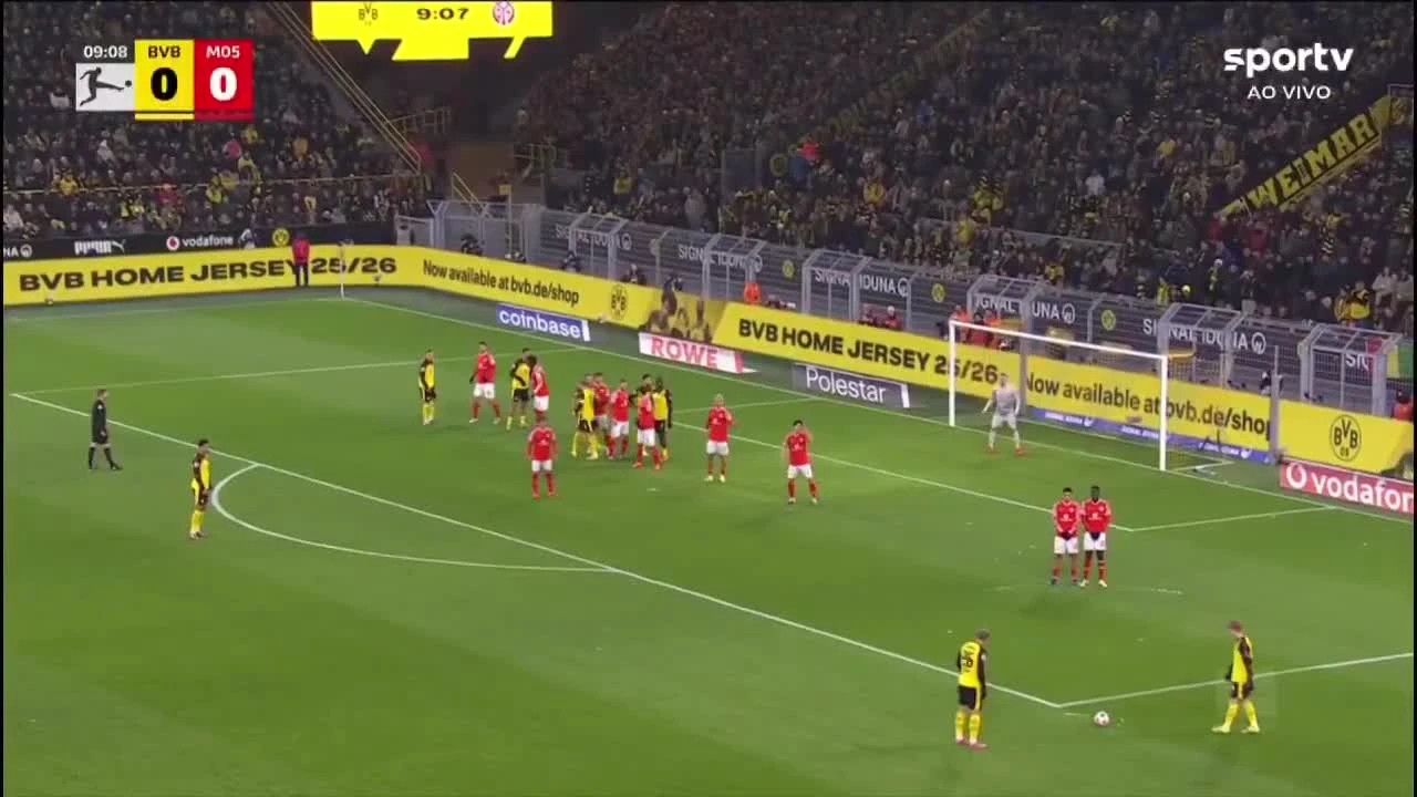 zaslepka skrotu video