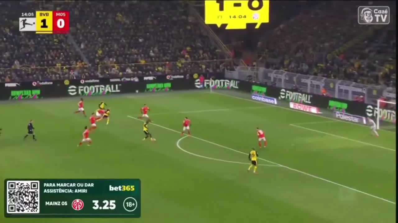 zaslepka skrotu video