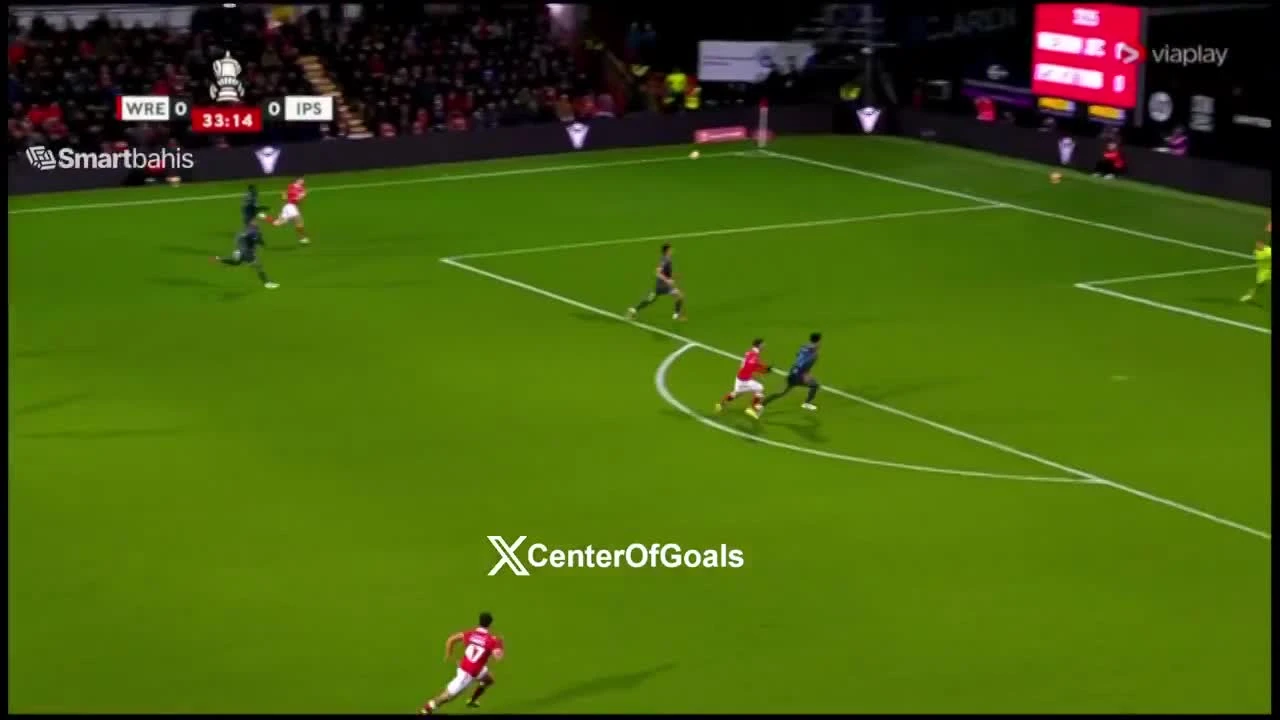 zaslepka skrotu video