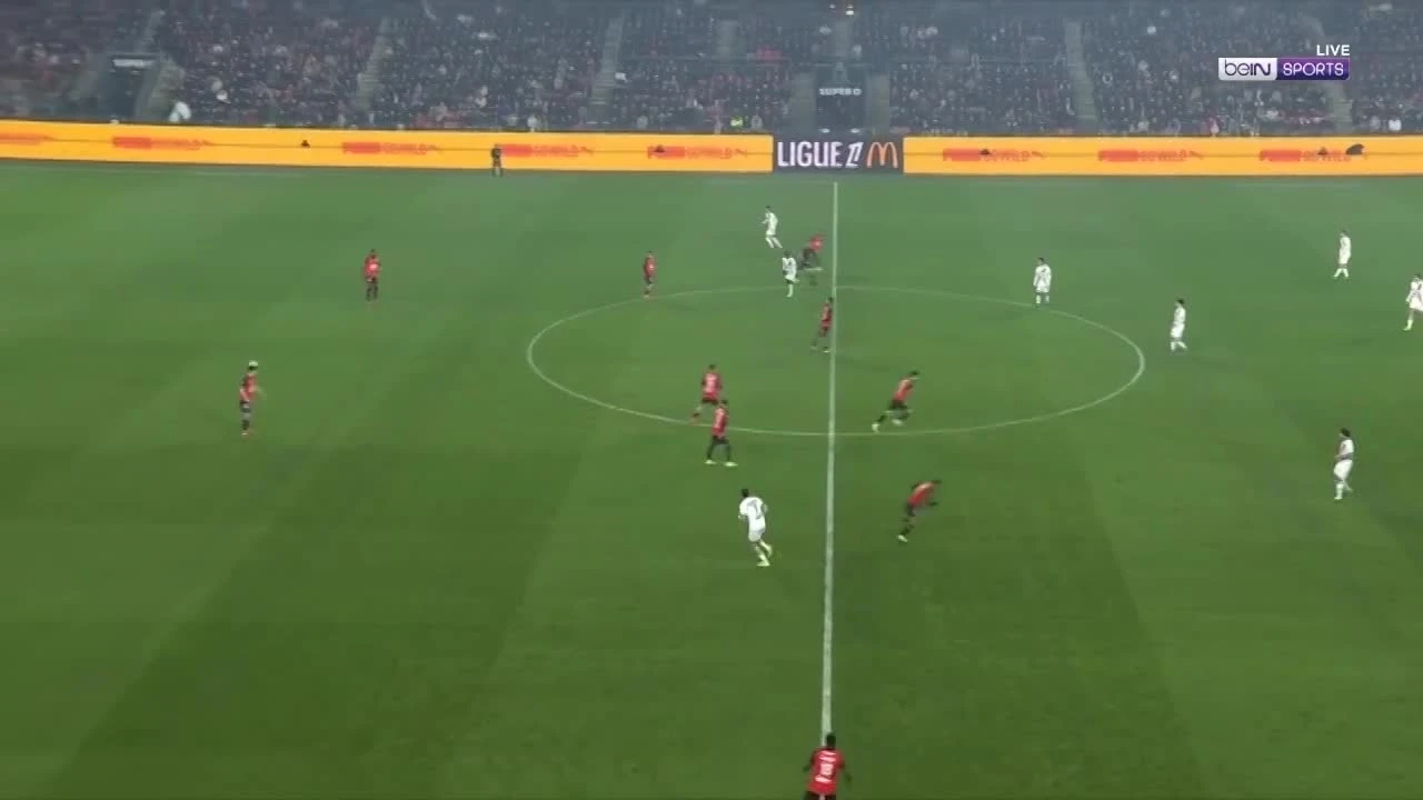 zaslepka skrotu video