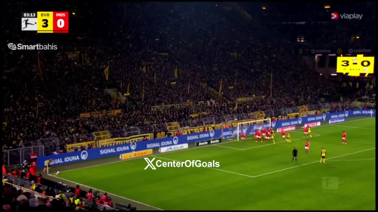 zaslepka skrotu video