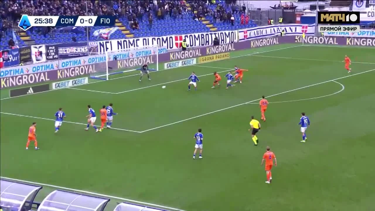 zaslepka skrotu video