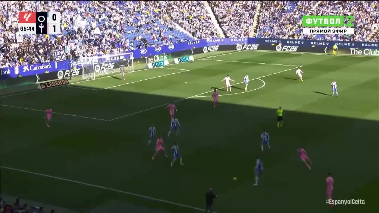 zaslepka skrotu video