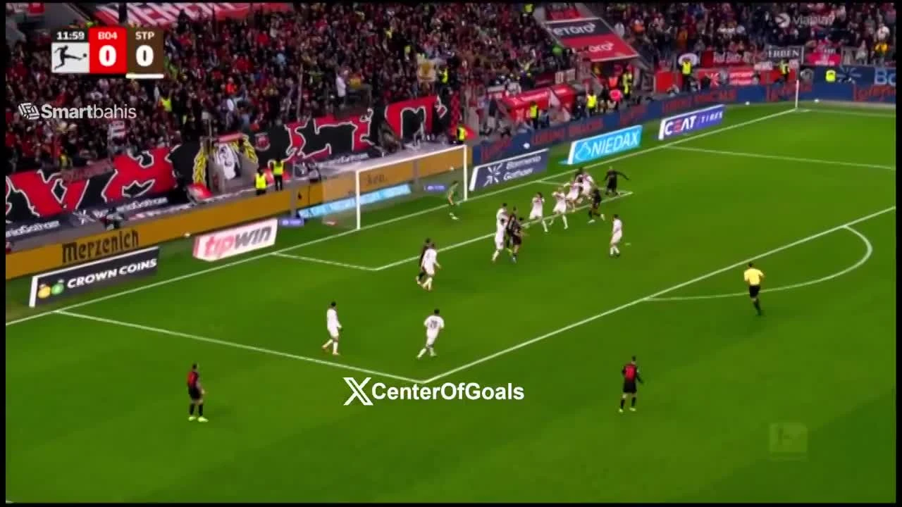 zaslepka skrotu video