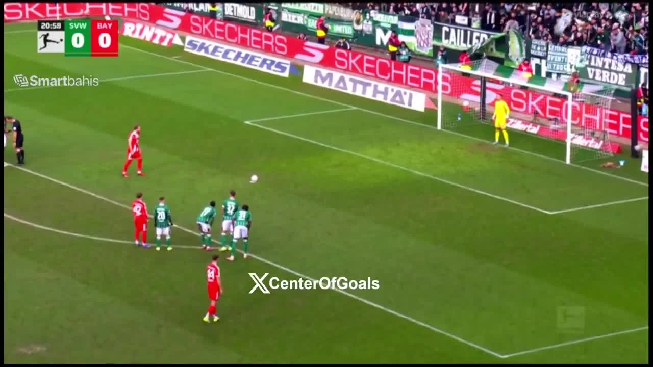 zaslepka skrotu video