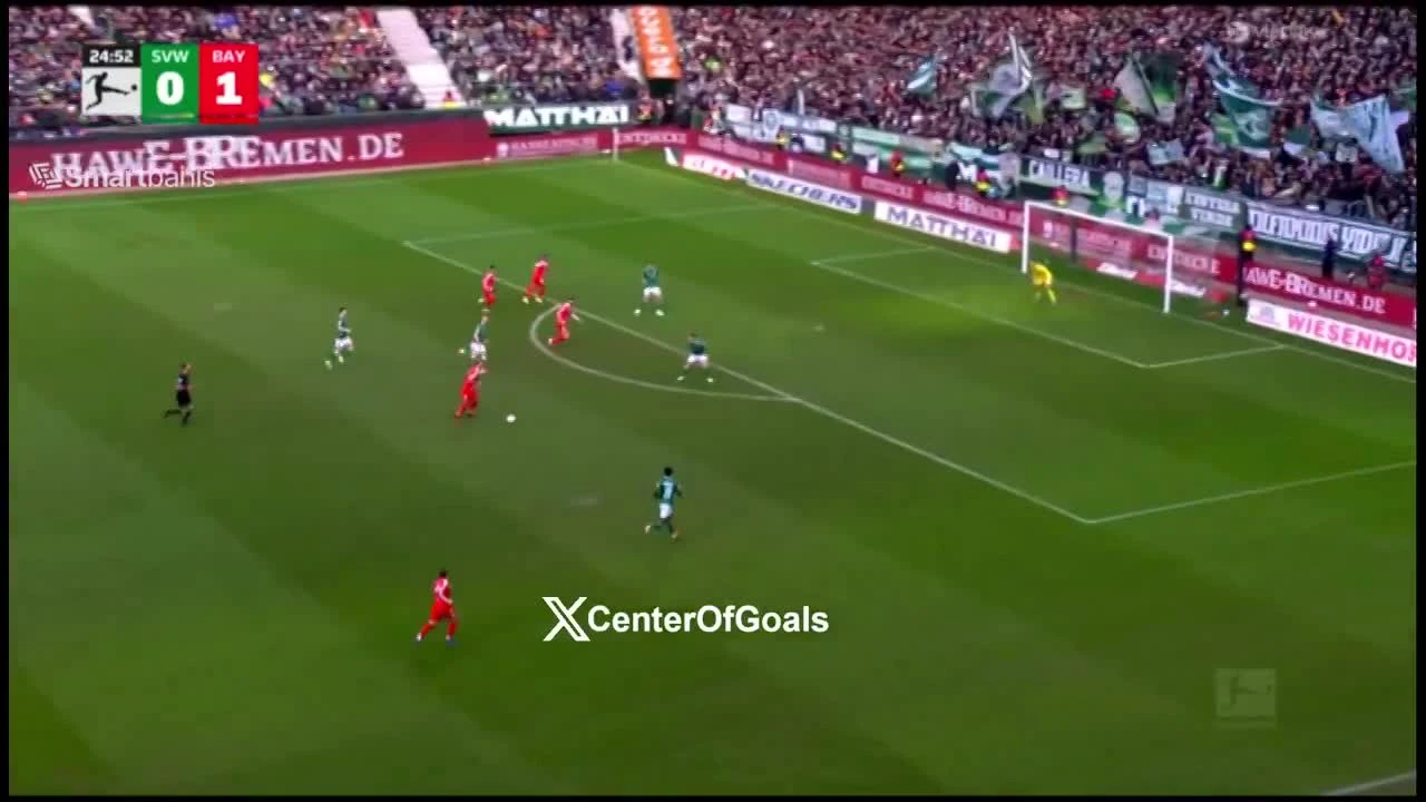 zaslepka skrotu video