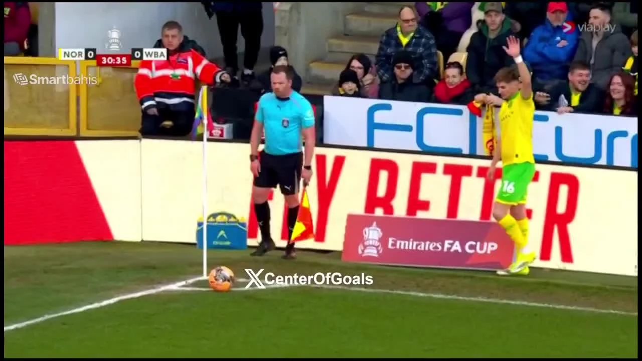 zaslepka skrotu video