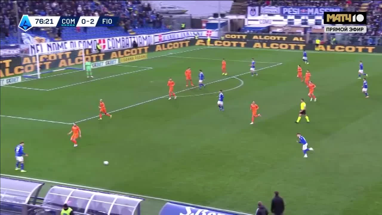 zaslepka skrotu video