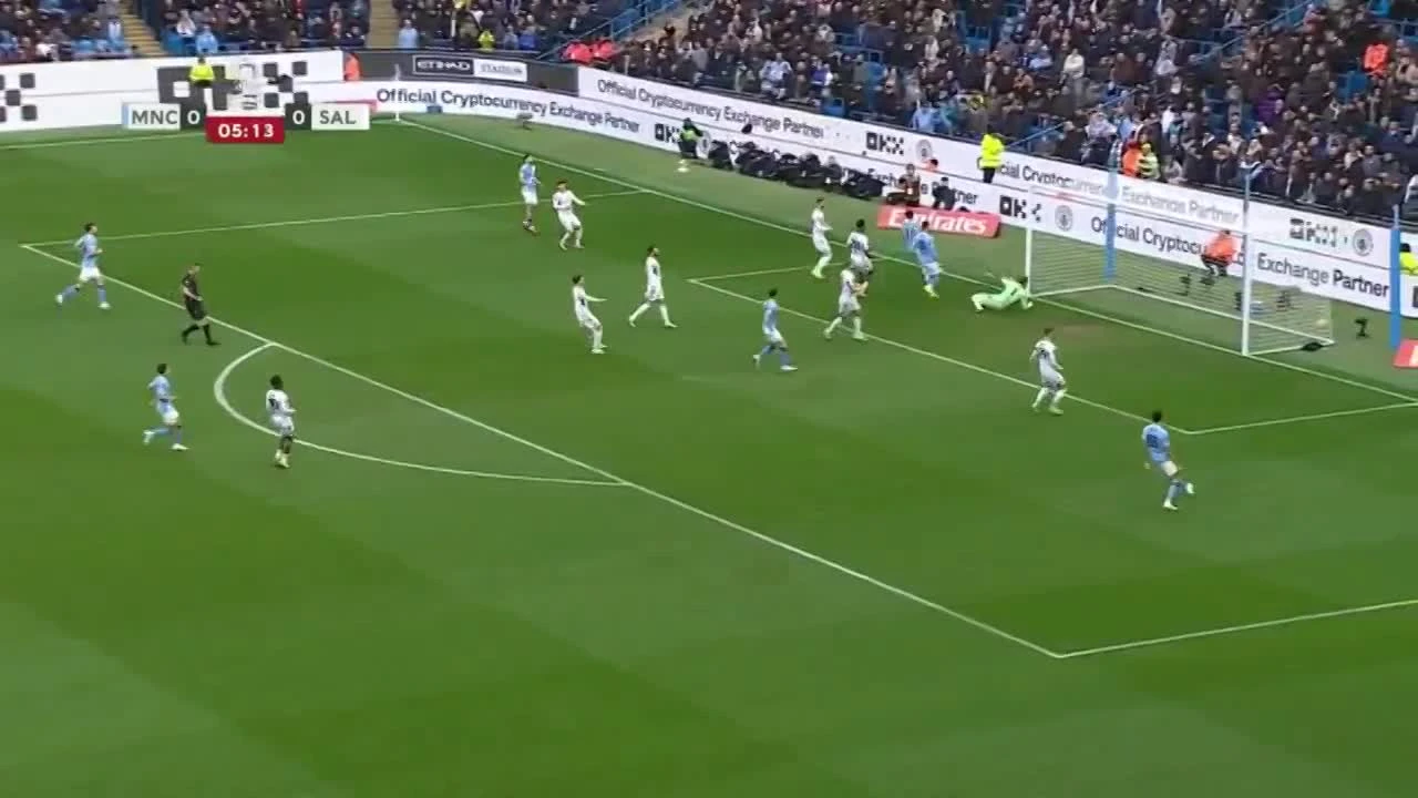 zaslepka skrotu video