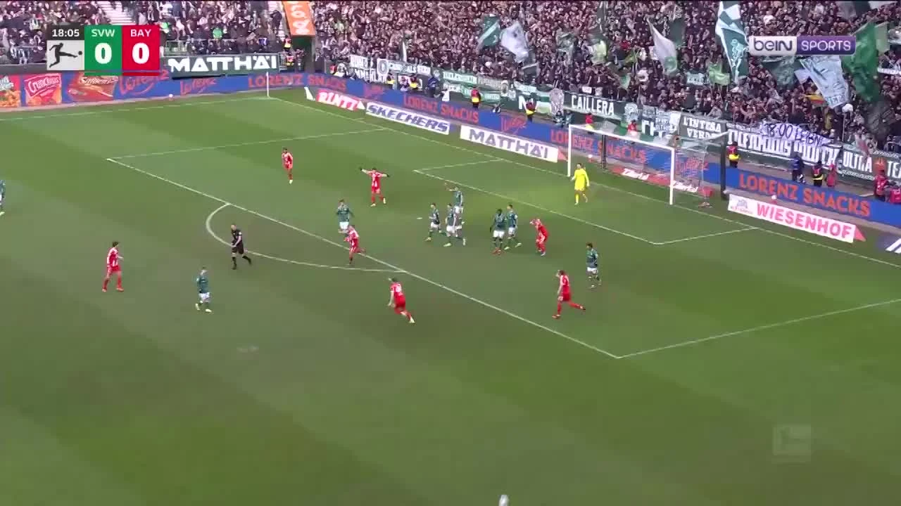 zaslepka skrotu video