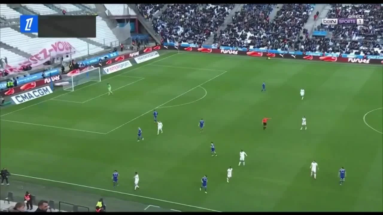 zaslepka skrotu video