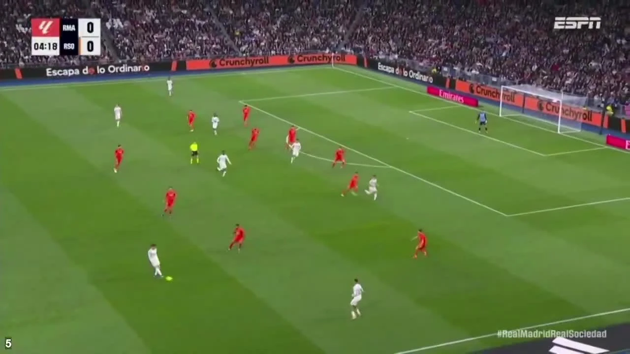 zaslepka skrotu video