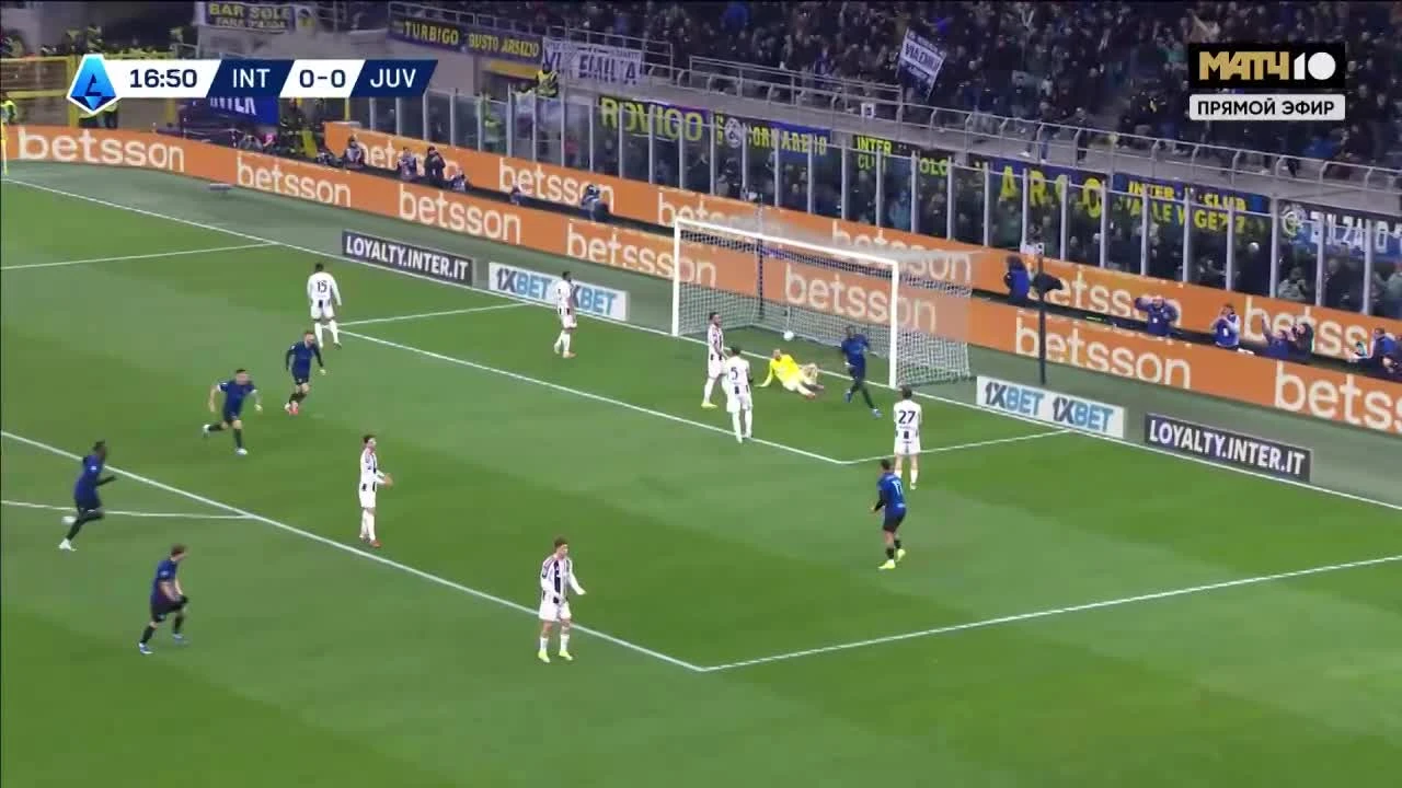 zaslepka skrotu video