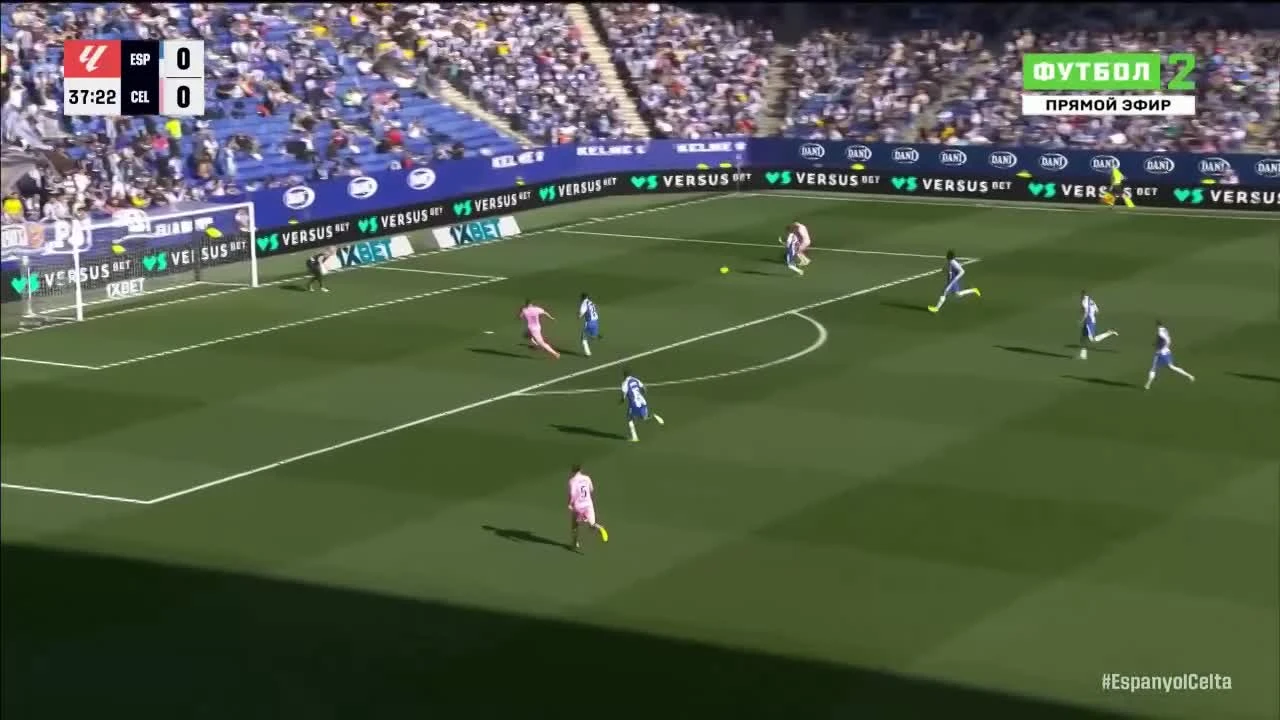 zaslepka skrotu video