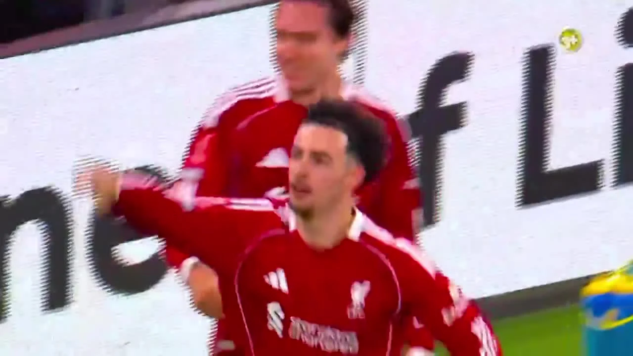 zaslepka skrotu video