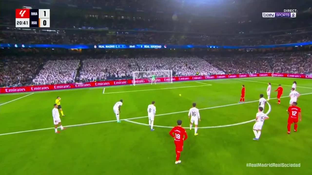 zaslepka skrotu video