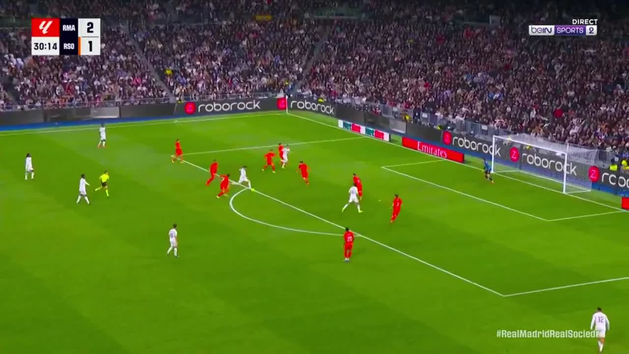 zaslepka skrotu video