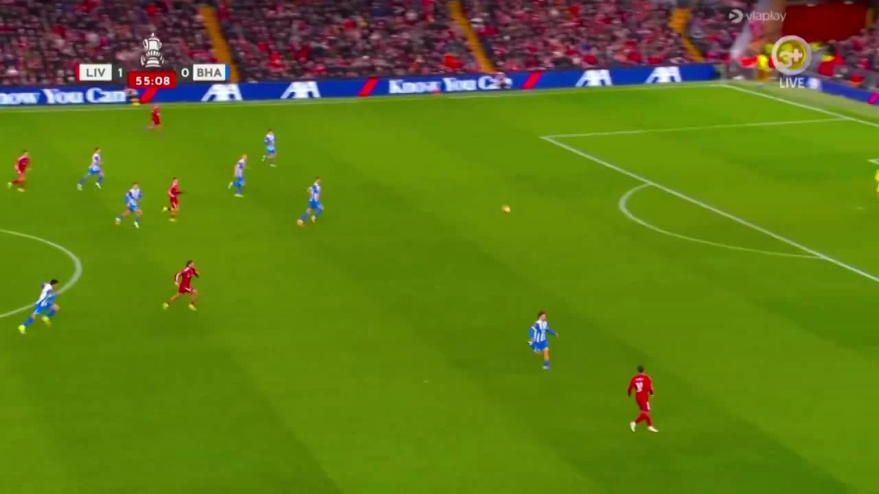 zaslepka skrotu video