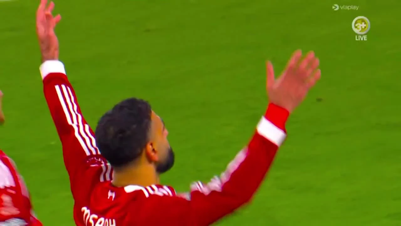 zaslepka skrotu video