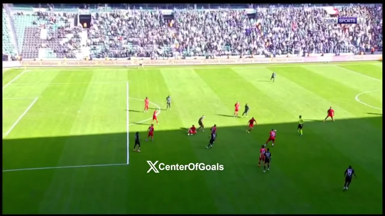 zaslepka skrotu video