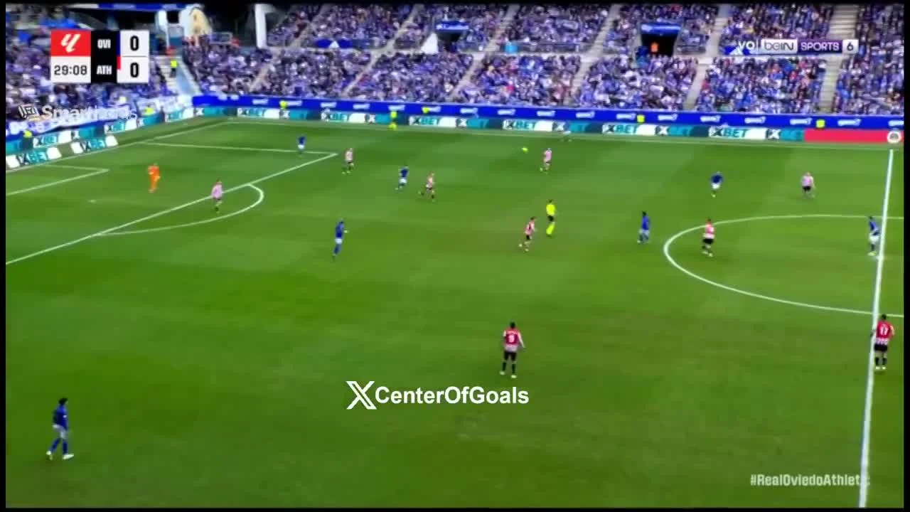 zaslepka skrotu video