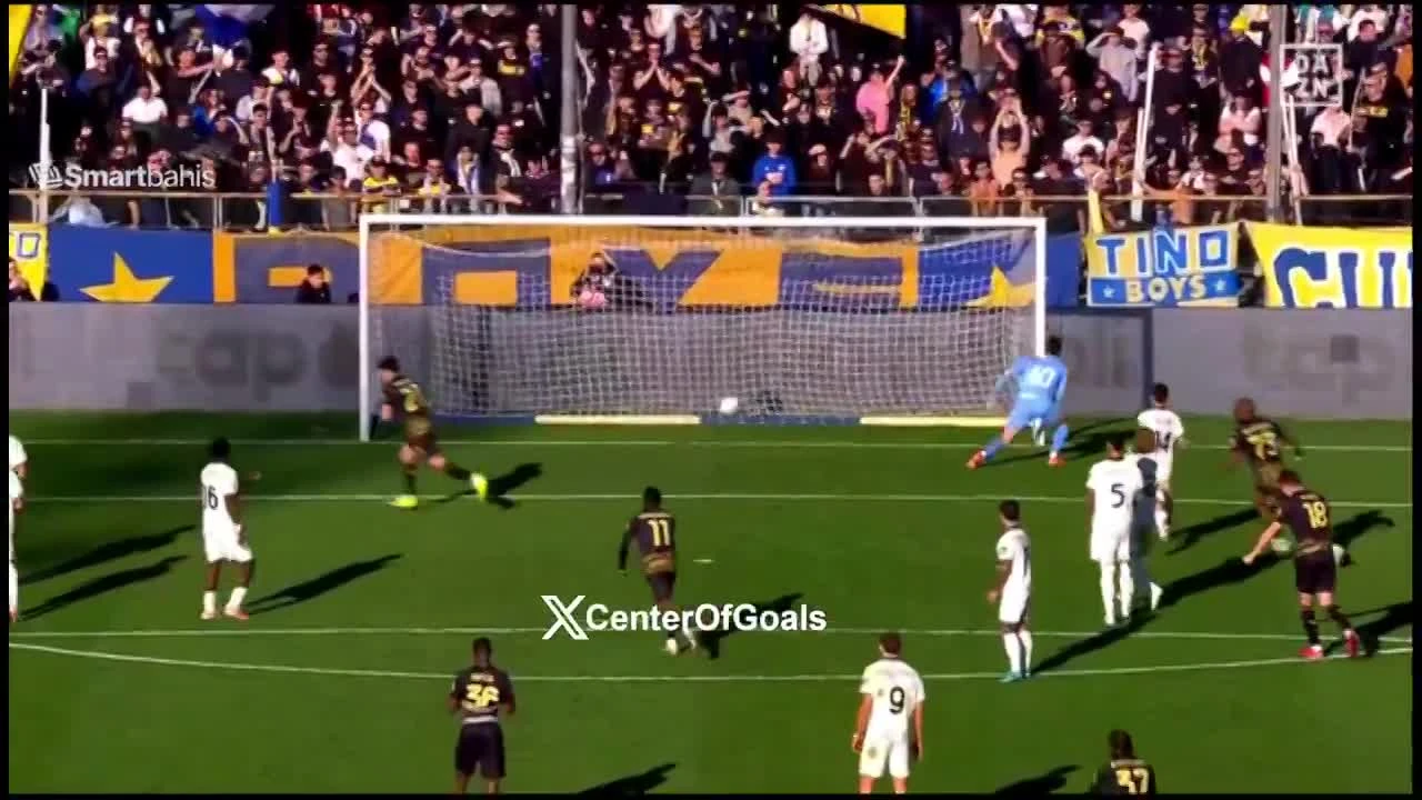 zaslepka skrotu video