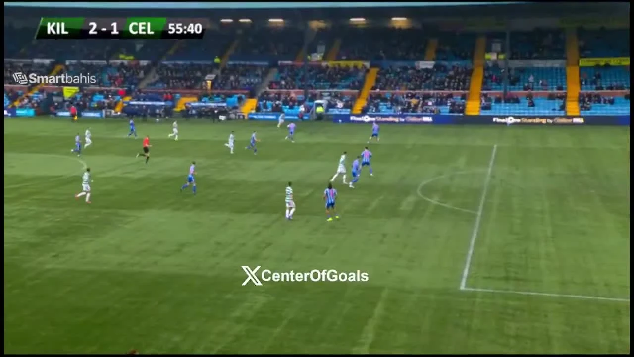 zaslepka skrotu video